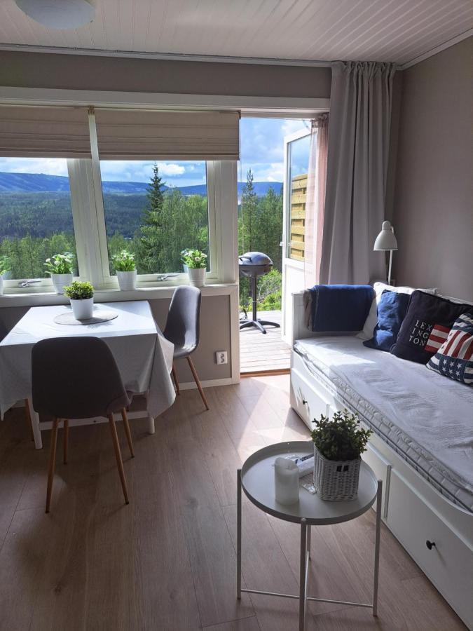 Appartamento Mysig Laegenhet Med Fjaellutsikt I Saelen Esterno foto