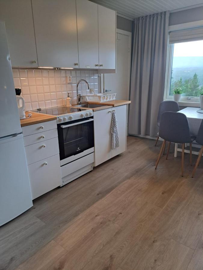 Appartamento Mysig Laegenhet Med Fjaellutsikt I Saelen Esterno foto