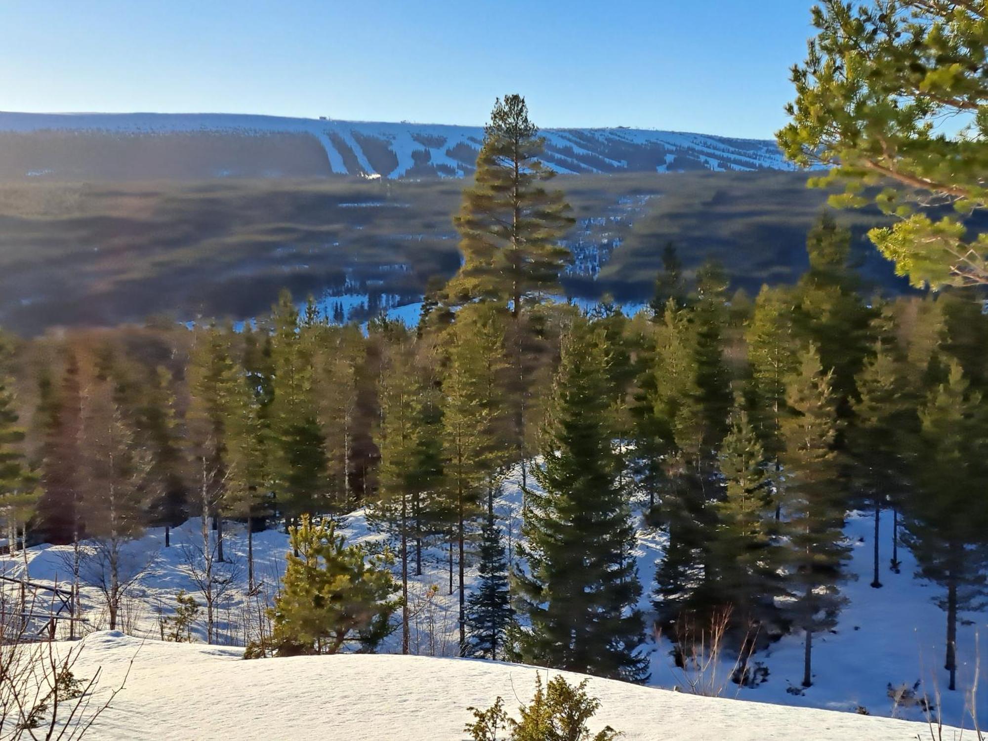 Appartamento Mysig Laegenhet Med Fjaellutsikt I Saelen Esterno foto